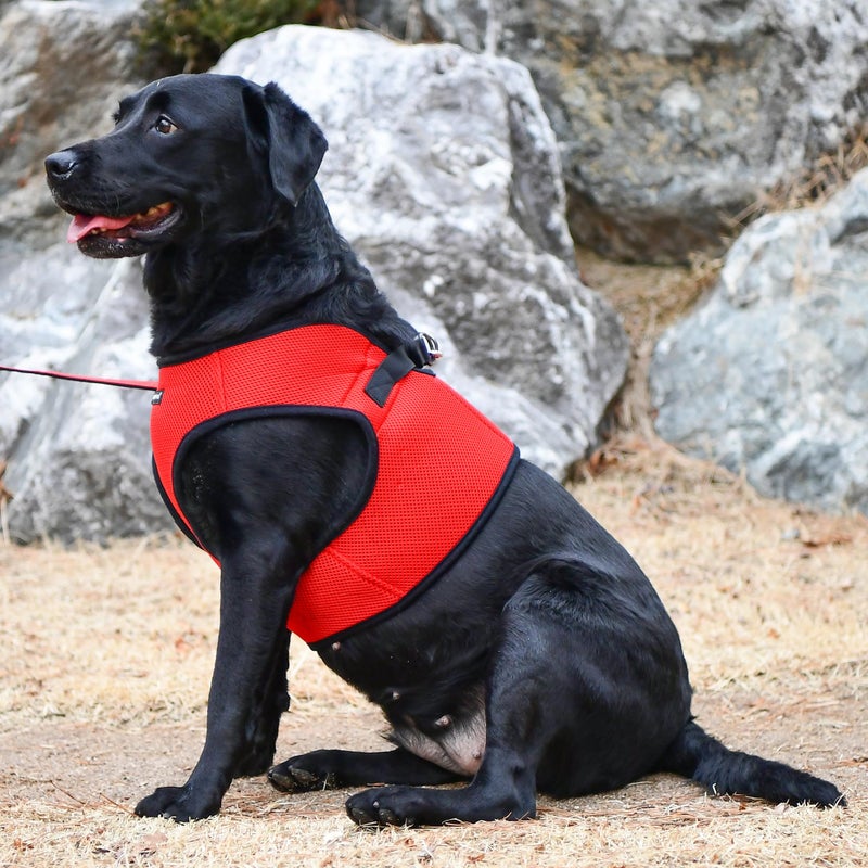 PUPPIA International Puppia Harness Soft B Vest RED XLarge - Image 4